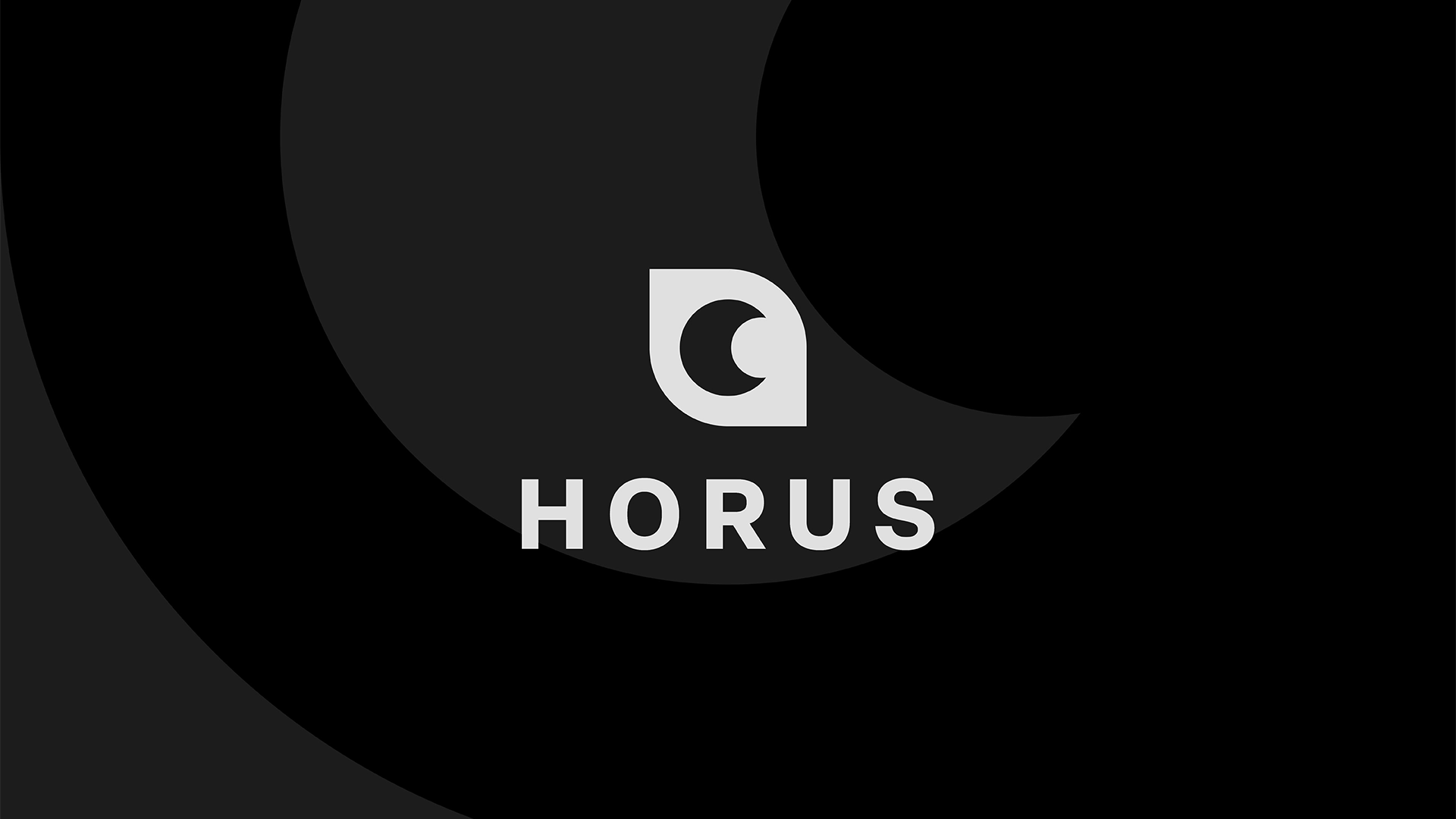Projeto de Identidade Visual da Horus