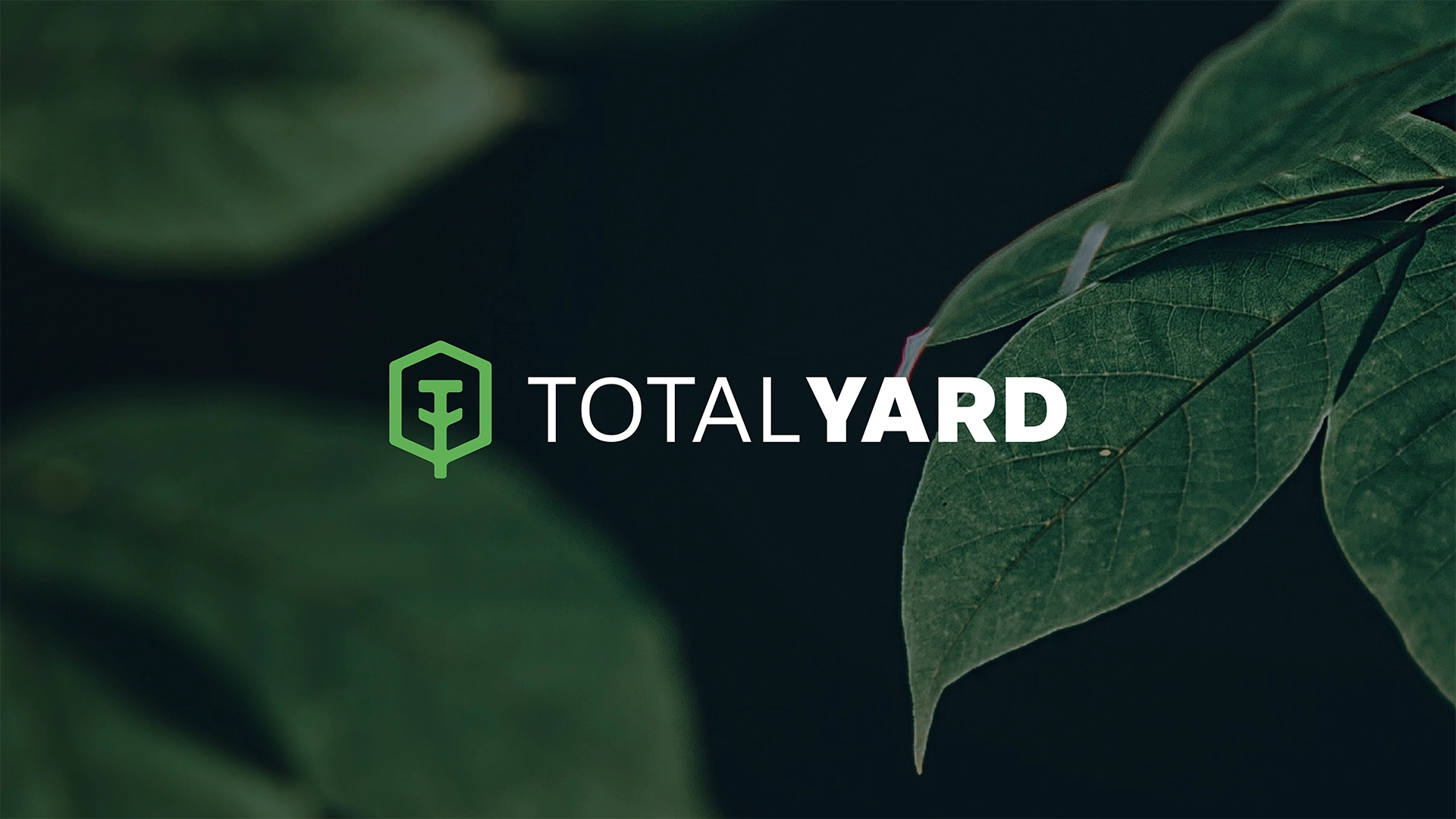 Projeto de Identidade Visual da Total Yard